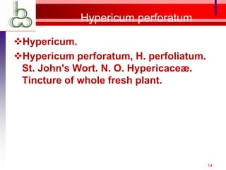 Hypericum perforatum
Hypericum.
Hypericum perforatum, H. perfoliatum.
St. John's Wort. N. O. Hypericaceæ.
Tincture of whole fresh plant.
14
 