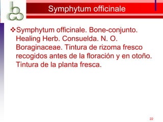 Symphytum officinale
Symphytum officinale. Bone-conjunto.
Healing Herb. Consuelda. N. O.
Boraginaceae. Tintura de rizoma fresco
recogidos antes de la floración y en otoño.
Tintura de la planta fresca.
22
 