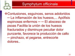 Symphytum officinale
Contusiones, esguinces, senos adoloridos
─ La inflamación de los huesos,... Apófisis
espinosas enfermos ─ ─ El absceso de
psoas Facilita la unión de los huesos
fracturados y disminuye peculiar dolor
punzante, favorece la producción de callo
─ pinchazo, el pegarse, entrecorte
dolores..
23
 