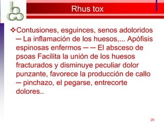 Rhus tox
Contusiones, esguinces, senos adoloridos
─ La inflamación de los huesos,... Apófisis
espinosas enfermos ─ ─ El absceso de
psoas Facilita la unión de los huesos
fracturados y disminuye peculiar dolor
punzante, favorece la producción de callo
─ pinchazo, el pegarse, entrecorte
dolores..
28
 