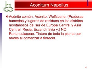 Aconitum Napellus
Acónito común. Acónito. Wolfsbane. (Praderas
húmedas y lugares de residuos en los distritos
montañosos del sur de Europa Central y Asia
Central, Rusia, Escandinavia y.) NO
Ranunculaceae. Tintura de toda la planta con
raíces al comenzar a florecer.
4
 