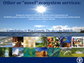 Blue bio economy unlocking the potential of seas and oceans | PPTX