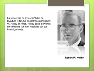 La secuencia de 77 nucleótidos de
levadura tRNA fue encontrado por Robert
W. Holley en 1965. Holley ganó el Premio
de Nobel de 1968 en medicina por sus
investigaciones.
Robert W. Holley
 