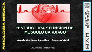 Arnold Arellano González | Yesenia Vidal
Dra. Andrea Díaz Ramírez

 