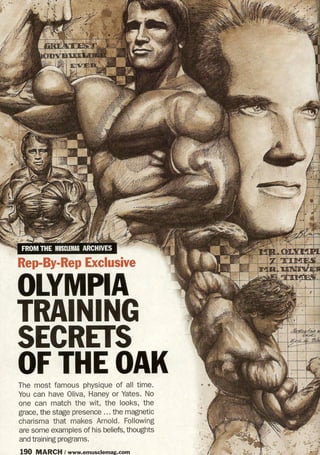 Arnold Training Guide