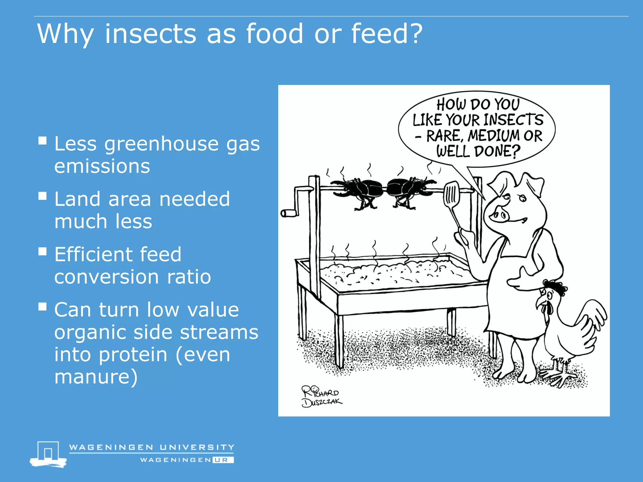 Farming insects as food and feed - Arnold van Huis, Wageningen ...