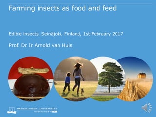Farming insects as food and feed
Edible insects, Seinäjoki, Finland, 1st February 2017
Prof. Dr Ir Arnold van Huis
 