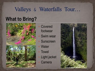 What to Bring?
 Covered









footwear
Swim wear
Sunscreen
Water
Towel
Light jacket
Camera

 