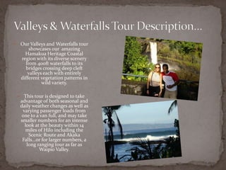 Our Valleys and Waterfalls tour
showcases our amazing
Hamakua Heritage Coastal
region with its diverse scenery
from 400ft waterfalls to its
bridges crossing deep cleft
valleys each with entirely
different vegetation patterns in
wild variety.





This tour is designed to take
advantage of both seasonal and
daily weather changes as well as
varying passenger loads from
one to a van full, and may take
smaller numbers for an intense
look at the beauty within 14
miles of Hilo including the
Scenic Route and Akaka
Falls...or for larger numbers, a
long ranging tour as far as
Waipio Valley.

 