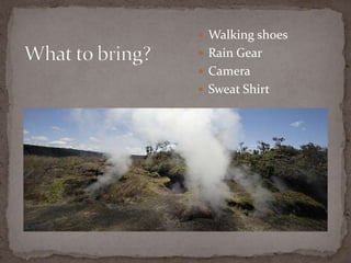  Walking shoes
 Rain Gear
 Camera
 Sweat Shirt

 