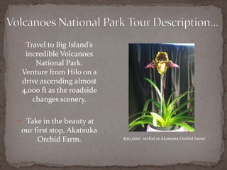  Travel to Big Island’s

incredible Volcanoes
National Park.
Venture from Hilo on a
drive ascending almost
4,000 ft as the roadside
changes scenery.
 Take in the beauty at

our first stop, Akatsuka
Orchid Farm.

$20,000 orchid at Akatsuka Orchid Farm!

 