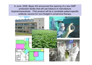 In June, 2008, Bayer AG announced the opening of a new GMP
production facility that will use tobacco to manufacture
biopharmaceuticals. First product will be a candidate patient-specific
antibody vaccine for non-Hodgkin’s lymphoma therapy.
11
 