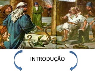 INTRODUÇÃO
 