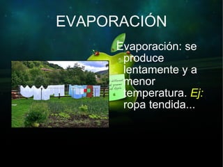 EVAPORACIÓN Evaporación: se  produce  lentamente y a  menor  temperatura.  Ej:   ropa tendida... 