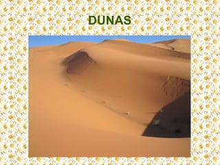 DUNAS