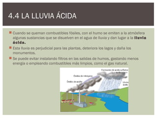 4.4 LA LLUVIA ÁCIDA
 Cuando se queman combustibles fósiles, con el humo se emiten a la atmósfera
  algunas sustancias que se disuelven en el agua de lluvia y dan lugar a la lluvia
  ácida.
 Esta lluvia es perjudicial para las plantas, deteriora los lagos y daña los
  monumentos.
 Se puede evitar instalando filtros en las salidas de humos, gastando menos
  energía o empleando combustibles más limpios, como el gas natural.
 