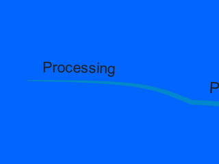 A roadmap for a proficient trader