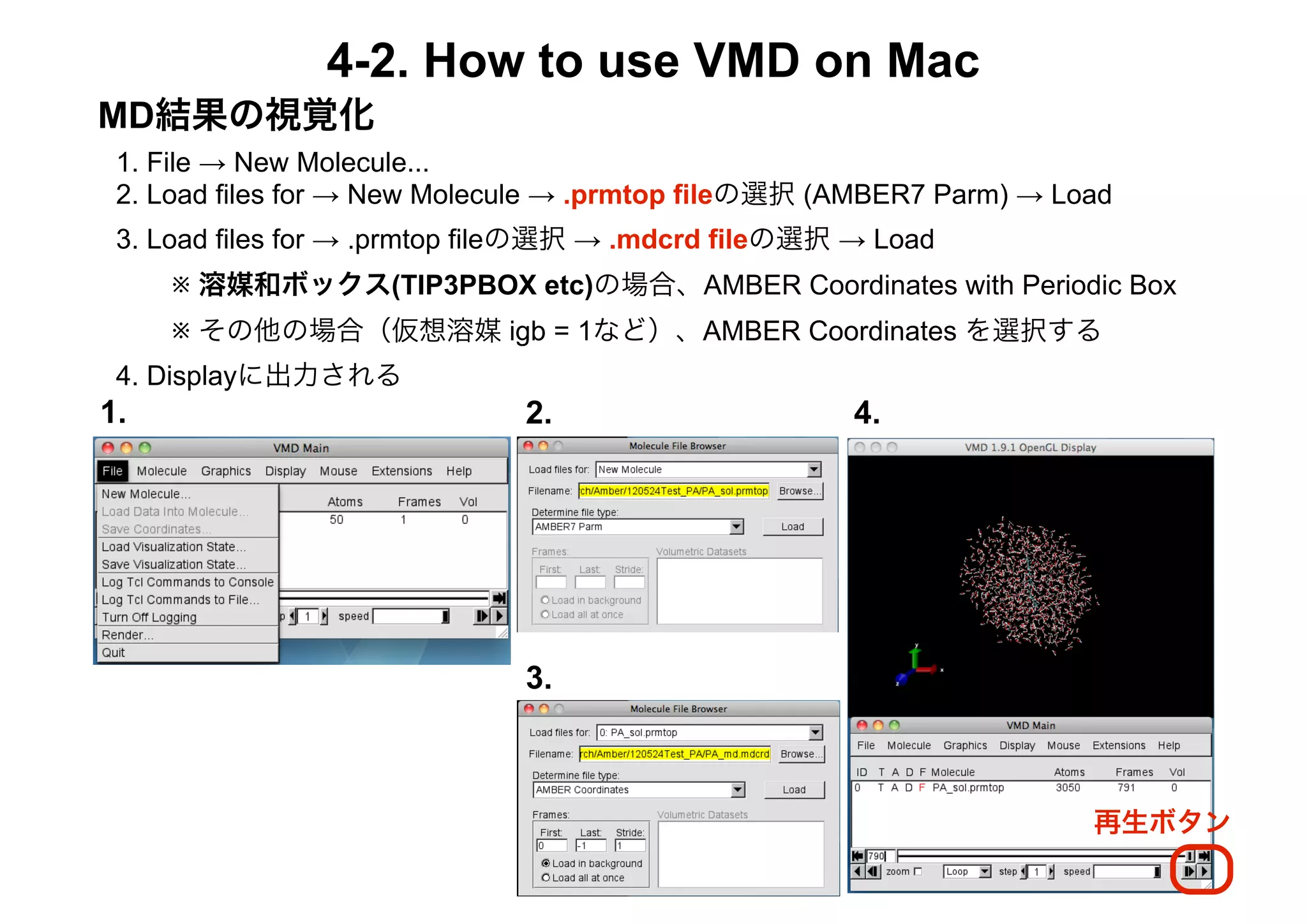 4-2. How to use VMD on Mac
MD結果の視覚化
 1. File → New Molecule...
 2. Load files for → New Molecule → .prmtop fileの選択 (AMBER7 Parm) → Load
 3. Load files for → .prmtop fileの選択 → .mdcrd fileの選択 → Load
   ※ 溶媒和ボックス(TIP3PBOX etc)の場合、AMBER Coordinates with Periodic Box
   ※ その他の場合（仮想溶媒 igb = 1など）、AMBER Coordinates を選択する
 4. Displayに出力される
1.                            2.                      4.




                              3.



                                                                      再生ボタン
 