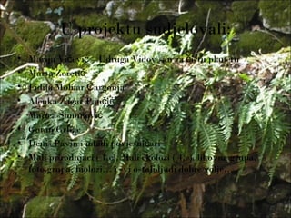 U projektu sudjelovali:
• Marija Vi evi – Udruga Vidov san za istu planetuč ć č
• Marta Zoretić
• Lidija Molnar argonjaČ
• Alenka Žagar Pan ič ć
• Marica Šimunović
• Goran Grbac
• Denis Pavin i mladi povjesni arič
• Mali prirodnjaci ( 1.c), Mali ekolozi ( 4.c), likovna grupa,
foto grupa, biolozi… i svi ostali ljudi dobre volje…
 