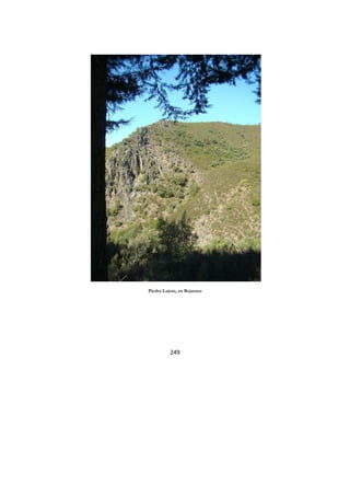249
Piedra Lajosa, en Bejarano
 