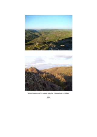 250
Arriba: Umbrizo desde La Atalaya. Abajo: Las Camorras desde El Cañuelo
 