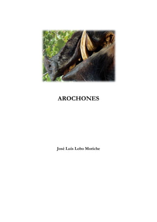 AROCHONES
José Luis Lobo Moriche
AROCHONES
José Luis Lobo Moriche
 
