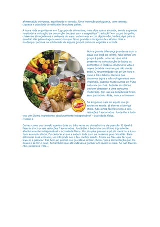 A Roda Dos Alimentos