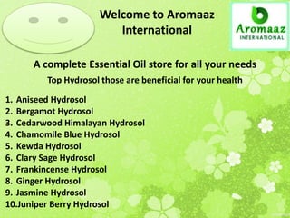 Welcome to Aromaaz
International
A complete Essential Oil store for all your needs
Top Hydrosol those are beneficial for your health
1. Aniseed Hydrosol
2. Bergamot Hydrosol
3. Cedarwood Himalayan Hydrosol
4. Chamomile Blue Hydrosol
5. Kewda Hydrosol
6. Clary Sage Hydrosol
7. Frankincense Hydrosol
8. Ginger Hydrosol
9. Jasmine Hydrosol
10.Juniper Berry Hydrosol
 