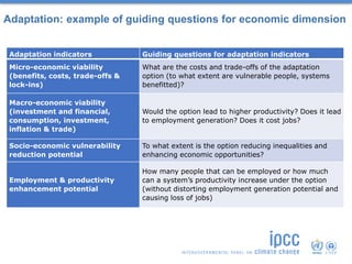 Adaptation feasibility assessment and synergies and trade offs | PPT