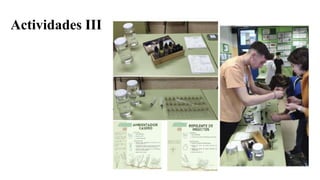 Actividades III
 