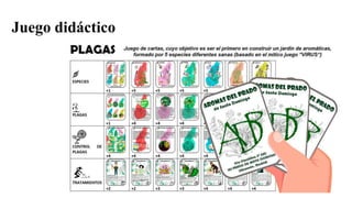 Juego didáctico
 