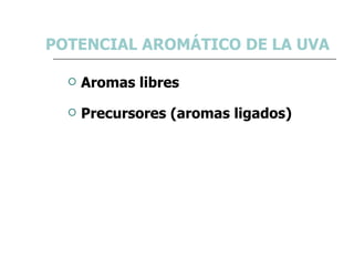 POTENCIAL AROMÁTICO DE LA UVA <ul><li>Aromas libres </li></ul><ul><li>Precursores (aromas ligados) </li></ul>