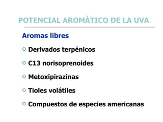 POTENCIAL AROMÁTICO DE LA UVA <ul><li>Aromas libres </li></ul><ul><li>Derivados terpénicos </li></ul><ul><li>C13 norisopre...