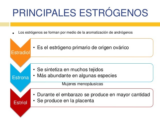 ESTRONA FUNCION PDF DOWNLOAD ESTRONA FUNCION PDF DOWNLOAD