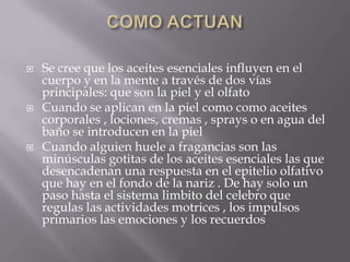  Se cree que los aceites esenciales influyen en el
cuerpo y en la mente a través de dos vías
principales: que son la piel y el olfato
 Cuando se aplican en la piel como como aceites
corporales , lociones, cremas , sprays o en agua del
baño se introducen en la piel
 Cuando alguien huele a fragancias son las
minúsculas gotitas de los aceites esenciales las que
desencadenan una respuesta en el epitelio olfativo
que hay en el fondo de la nariz . De hay solo un
paso hasta el sistema limbito del celebro que
regulas las actividades motrices , los impulsos
primarios las emociones y los recuerdos
 