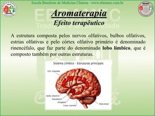 Aromaterapia
Efeito terapêutico
A estrutura composta pelos nervos olfativos, bulbos olfativos,
estrias olfativas e pelo córtex olfativo primário é denominado
rinencéfalo, que faz parte do denominado lobo límbico, que é
composto também por outras estruturas.
 