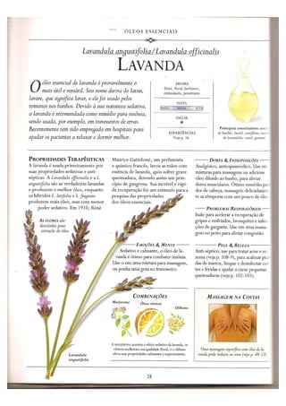 Aromaterapia e massagem