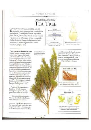 Aromaterapia e massagem