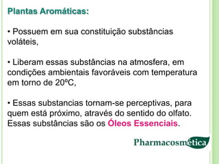 Plantas Aromáticas:

• Possuem em sua constituição substâncias
voláteis,

• Liberam essas substâncias na atmosfera, em
condições ambientais favoráveis com temperatura
em torno de 20ºC,

• Essas substancias tornam-se perceptivas, para
quem está próximo, através do sentido do olfato.
Essas substâncias são os Óleos Essenciais.
 