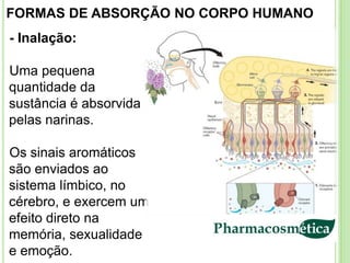 FORMAS DE ABSORÇÃO NO CORPO HUMANO
- Inalação:

Uma pequena
quantidade da
sustância é absorvida
pelas narinas.

Os sinais aromáticos
são enviados ao
sistema límbico, no
cérebro, e exercem um
efeito direto na
memória, sexualidade
e emoção.
 