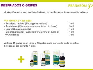 RESFRIADOS O GRIPES

 -> Acción antiviral, antibacteriana, expectorante, inmunoestimulante


 VÍA TÓPICA (-> 3er MES)
 - Eucalipto radiata (Eucalyptus radiata)                     3 ml
 - Ravintsara (Cinnamomum camphora qt cineol)                 3 ml
 - Laurel (Laurus nobilis)                                    1 ml
 - Mejorana tujanol (Origanum majorana qt tujanol)            1 ml
  AV Avellanas                                                7 ml


 Aplicar 15 gotas en el tórax y 15 gotas en la parte alta de la espalda.
 5 veces al día durante 4 días.




             +
 