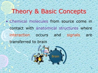 Theory & Basic ConceptsChemical molecules from source come in contact with anatomical structures where interaction occurs and signals are transferred to brain6