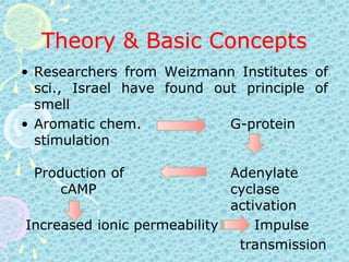 Theory & Basic ConceptsResearchers from Weizmann Institutes of sci., Israel have found out principle of smellAromatic chem.			G-protein stimulationProduction of	Adenylate 	 cAMP				cyclase   	      			activation	 Increased ionic permeability	     Impulse							  transmission	