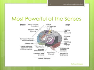 Most Powerful of the Senses
Aromatherapy Introduction
Kathryn Gorges
10
 