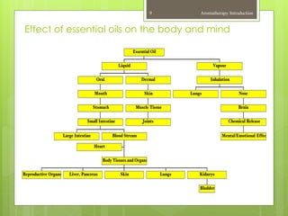 Aromatherapy Introduction9
Effect of essential oils on the body and mind
 