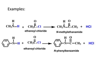 Examples:
H
CH3N H
O
CH3C Cl
H
N H
O
CH3C Cl
H O
N C CH3
H O
CH3N C CH3 HCl
HCl
N-methylethanamide
N-phenylbenzamide
ethan...