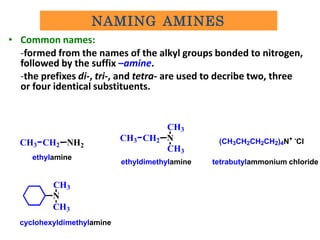 • Common names:
-formed from the names of the alkyl groups bonded to nitrogen,
followed by the suffix –amine.
-the prefixe...