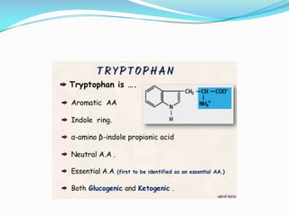 Aromatic amino acids 