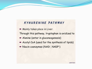 Aromatic amino acids 