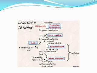 Aromatic amino acids 